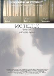 Мотылёк 2017