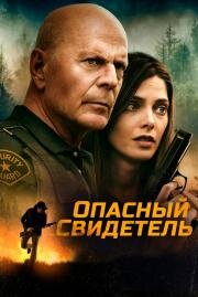 Опасный свидетель (Wrong Place) 2022