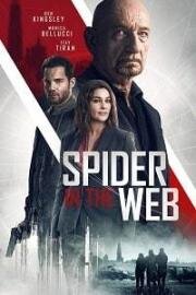 Старые шпионские игры (Spider in the Web) 2019