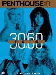 Пентхаус: 30 любимиц за 60 минут (Penthouse Pets 30:60) 1999