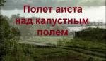 Полет аиста над капустным полем 2004