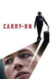 Ручная кладь (Carry-On) 2024