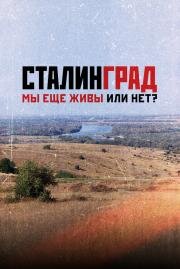 Сталинград. Мы еще живы или нет? 2021
