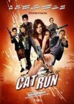 Всем нужна Кэт (Cat Run) 2011