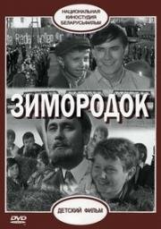 Зимородок 1972