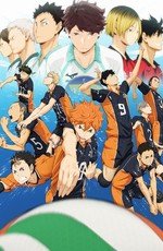 Волейбол!! (Haikyuu!!) 2014